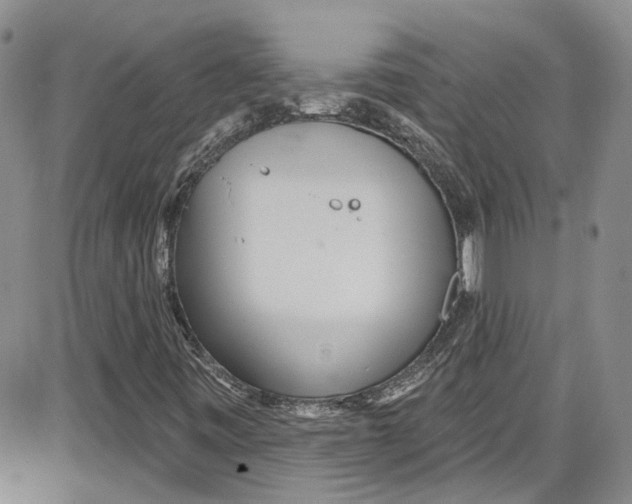 X0000087631443200705311317