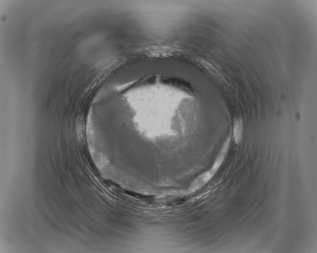 X0000087631444200705311317