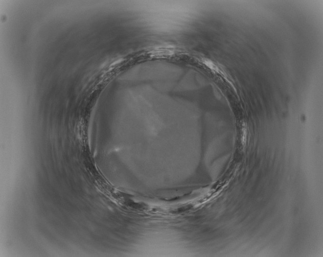 X0000087631445200705311317