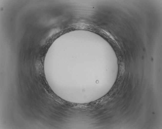 X0000087631446200705311317