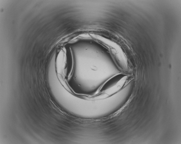 X0000087631449200705311317