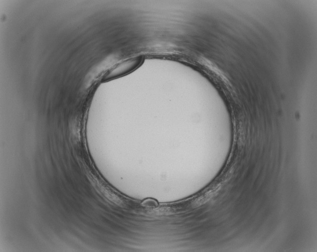 X0000087631451200705311317