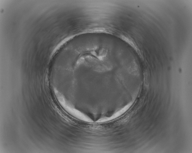 X0000087631452200705311317