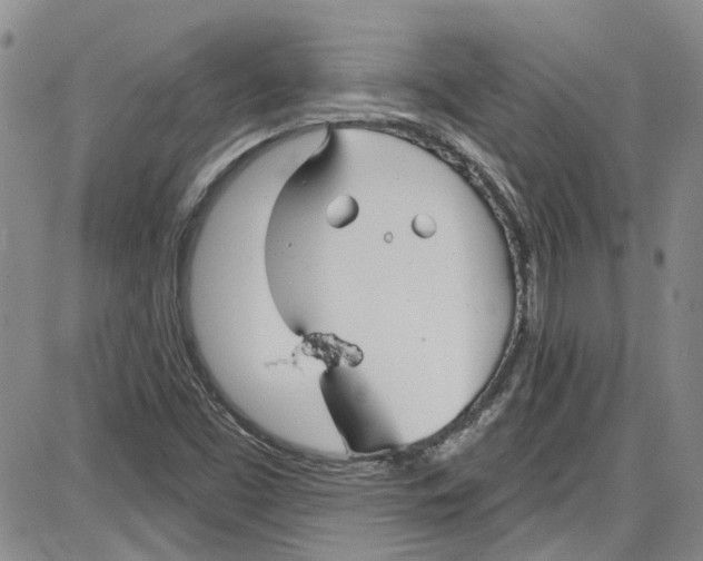 X0000087631453200705311317