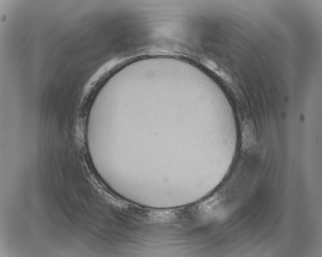 X0000087631454200705311317