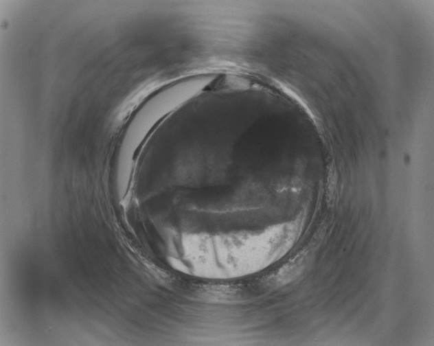 X0000087631455200705311317