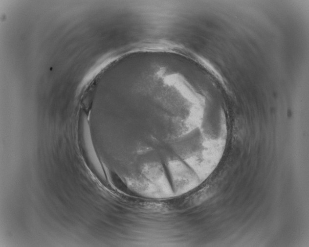 X0000087631456200705311317