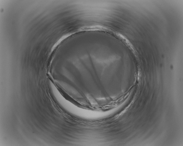 X0000087631457200705311317