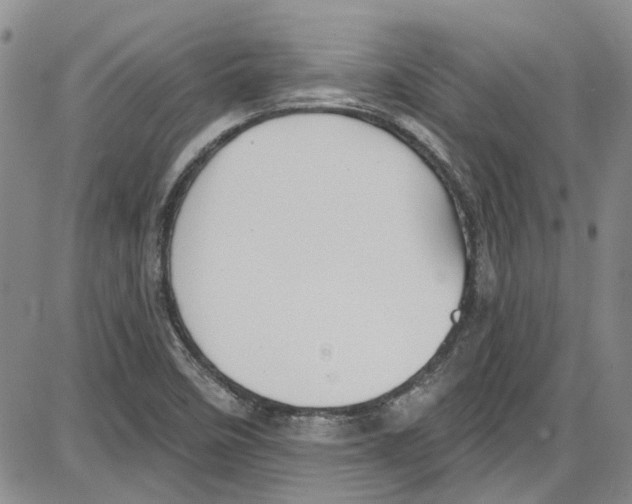 X0000087631458200705311316