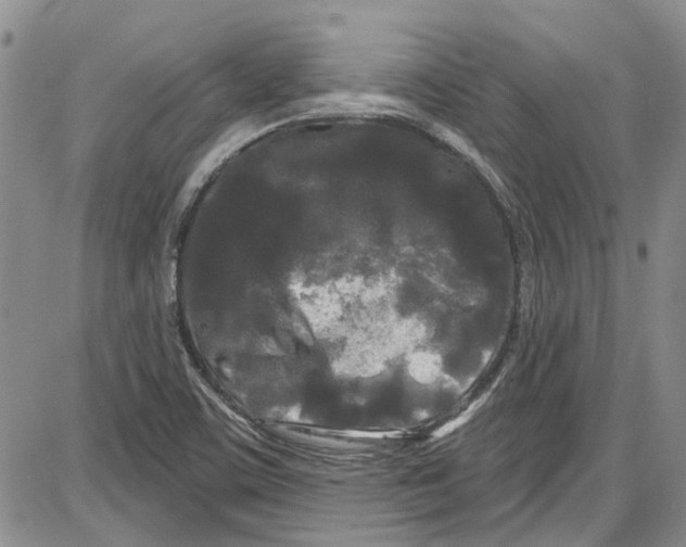 X0000087631459200705311316