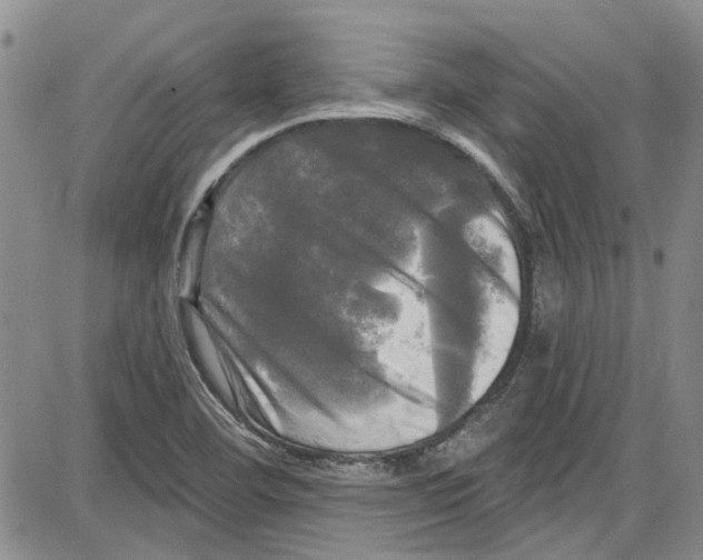 X0000087631460200705311316