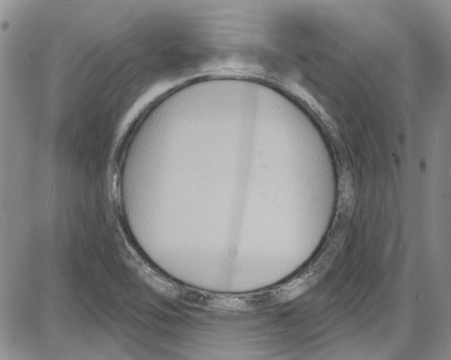 X0000087631462200705311316