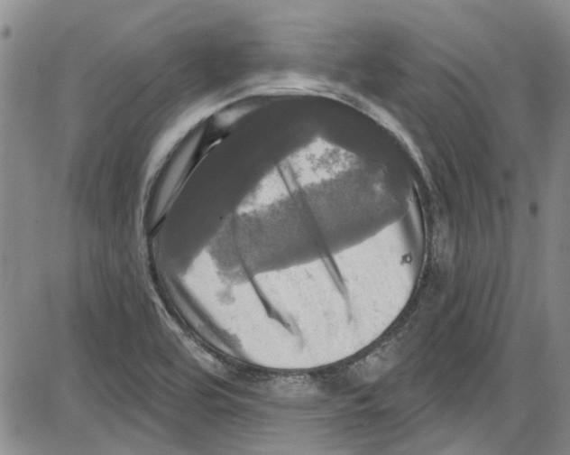 X0000087631464200705311316