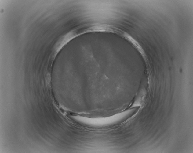 X0000087631465200705311316