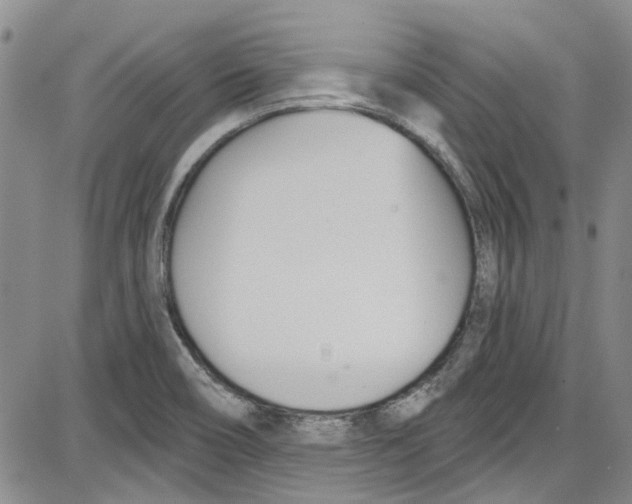 X0000087631466200705311316