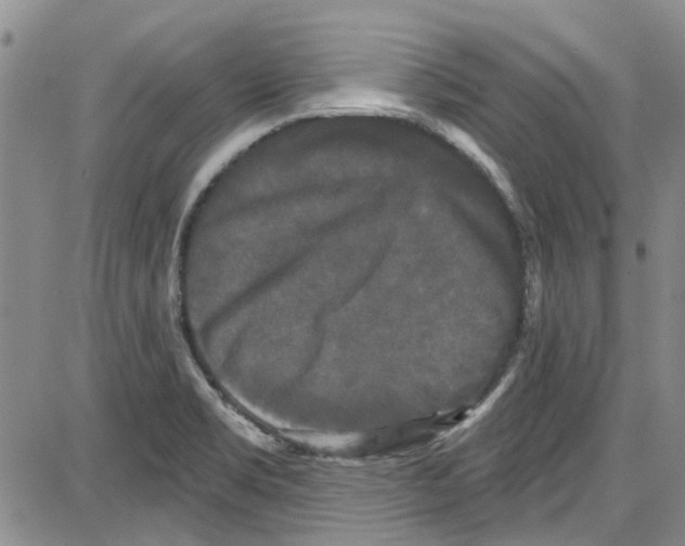 X0000087631469200705311316