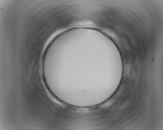 X0000087631470200705311316