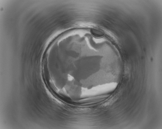 X0000087631471200705311316