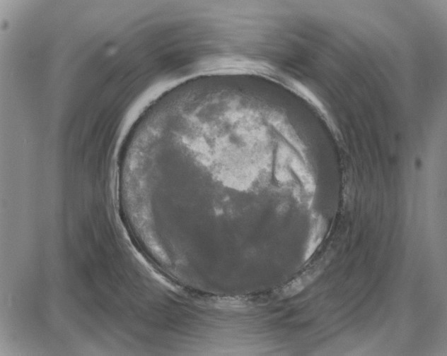 X0000087631472200705311316