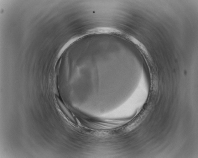 X0000087631473200705311316