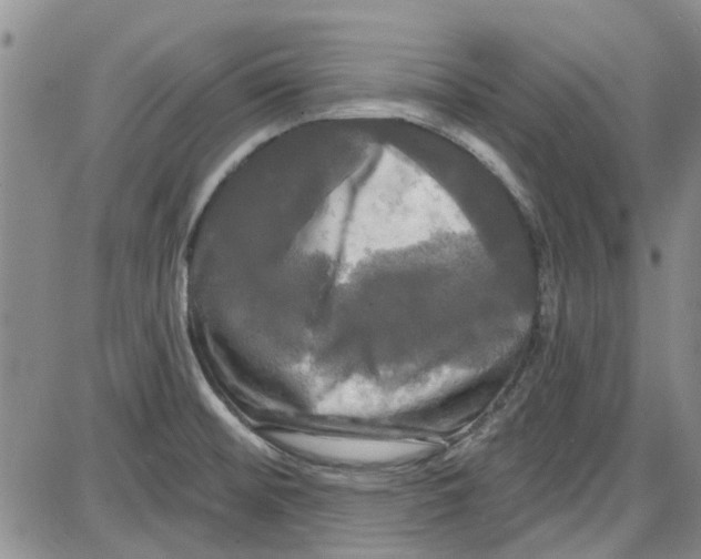 X0000087631476200705311316