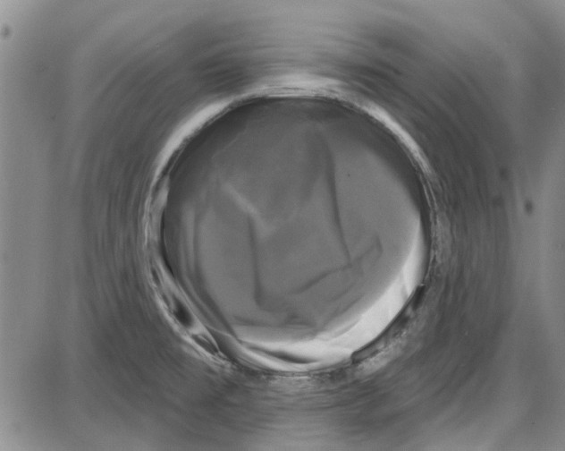 X0000087631477200705311316