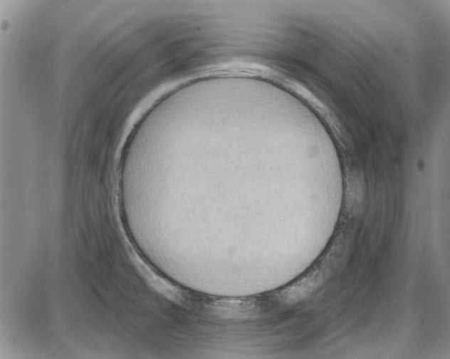 X0000087631478200705311316