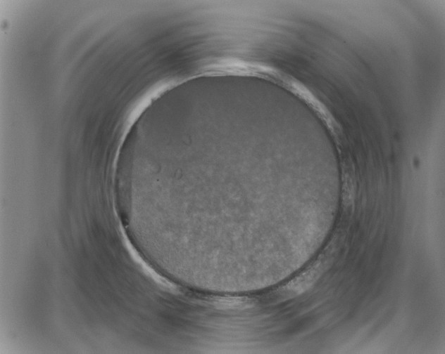 X0000087631479200705311316