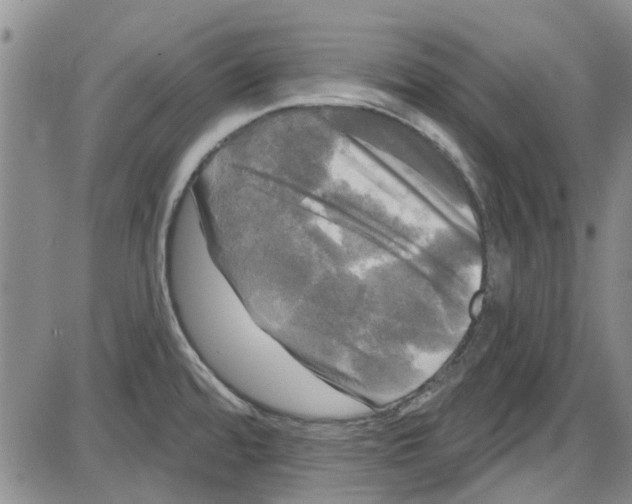 X0000087631480200705311316