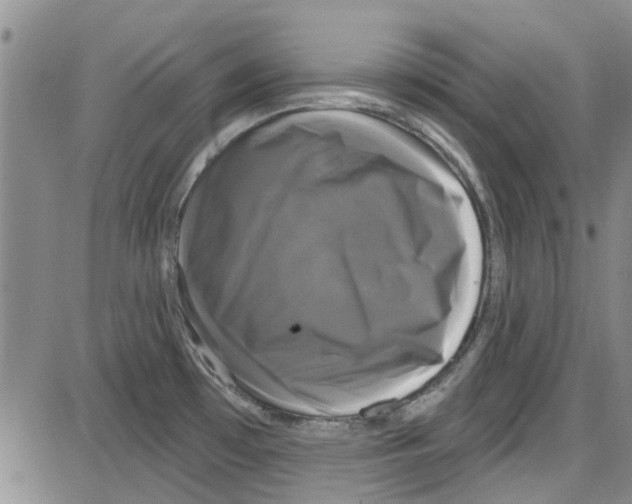 X0000087631481200705311316