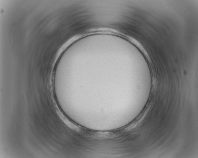 X0000087631482200705311316