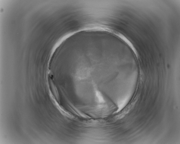 X0000087631485200705311316