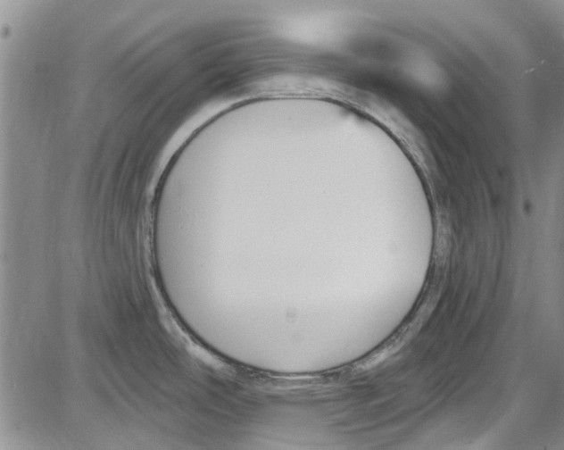 X0000087631486200705311316