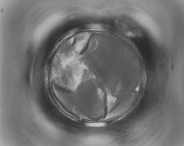 X0000087631487200705311316