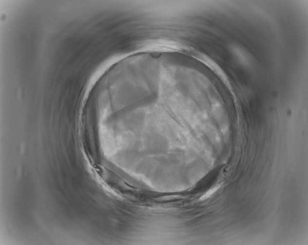 X0000087631488200705311316