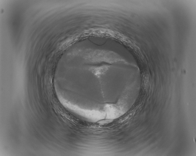 X0000087631489200705311315