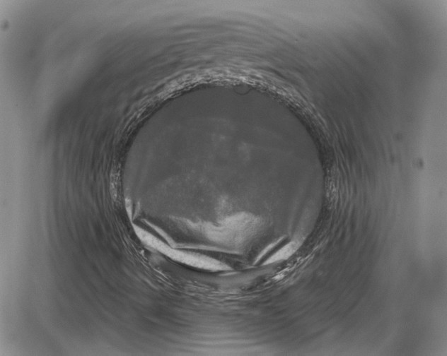 X0000087631490200705311315