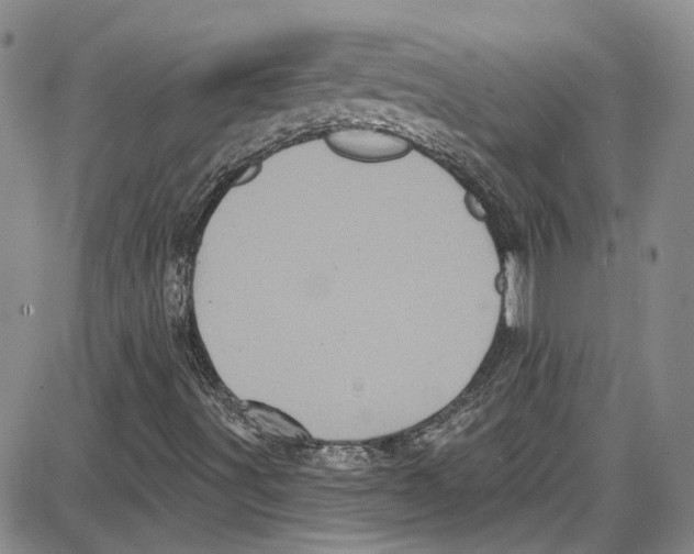 X0000087631491200705311315