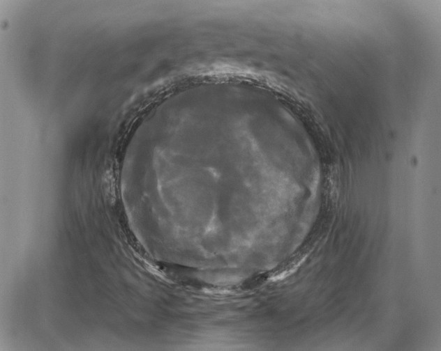 X0000087631493200705311315