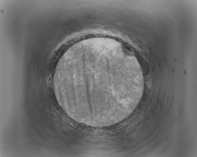 X0000087631495200705311315