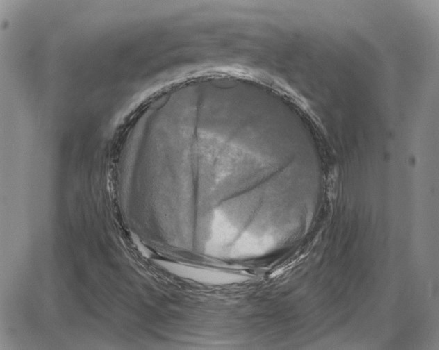 X0000087631496200705311315