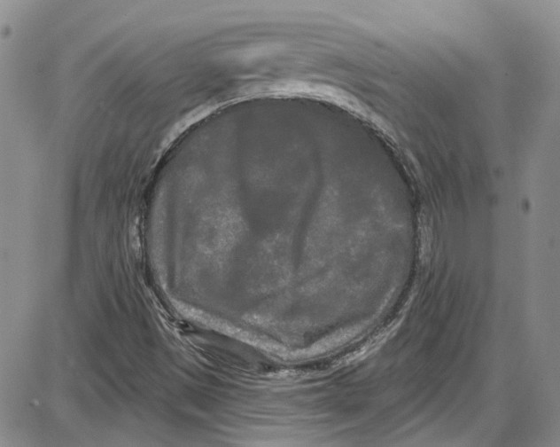 X0000087631497200705311315