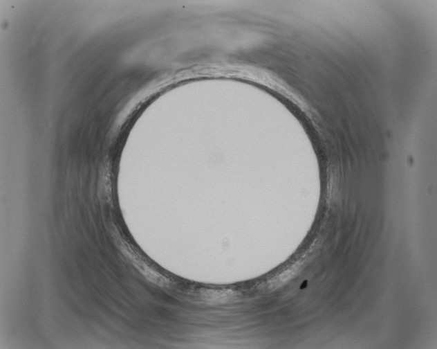 X0000087631498200705311315