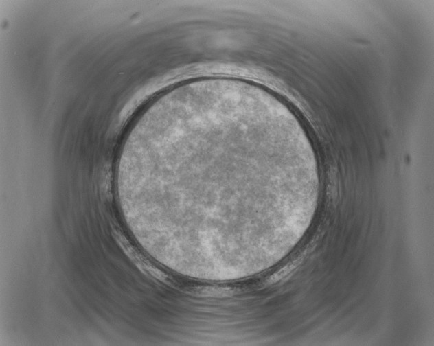 X0000087631499200705311315