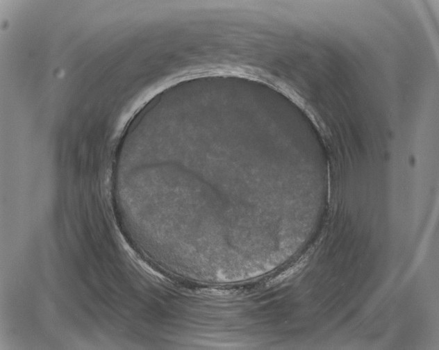 X0000087631500200705311315