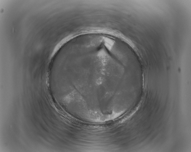 X0000087631501200705311315