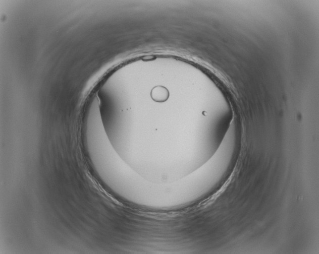 X0000087631502200705311315