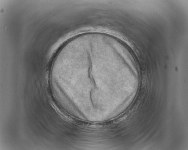 X0000087631503200705311315