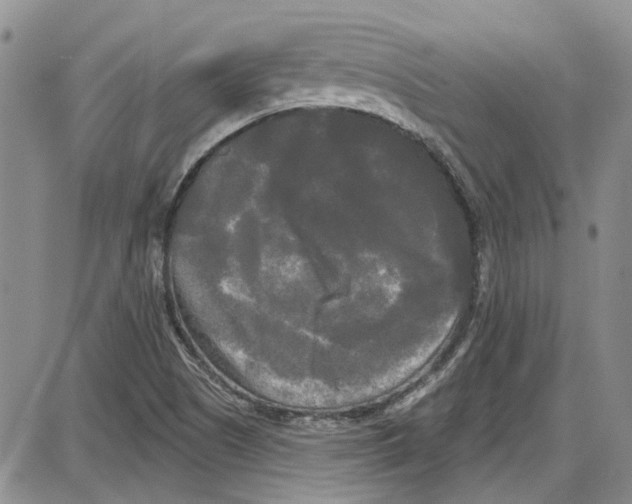 X0000087631505200705311315