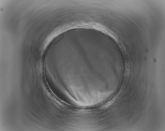 X0000087631506200705311316